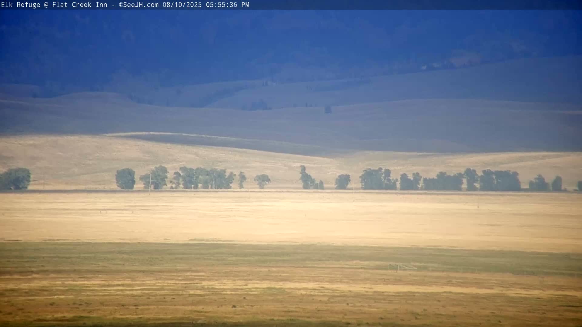Jackson, Elk Refuge & Teton Mountains from Flat Creek Inn Live Cam - Jackson, Teton, Wyoming, USA