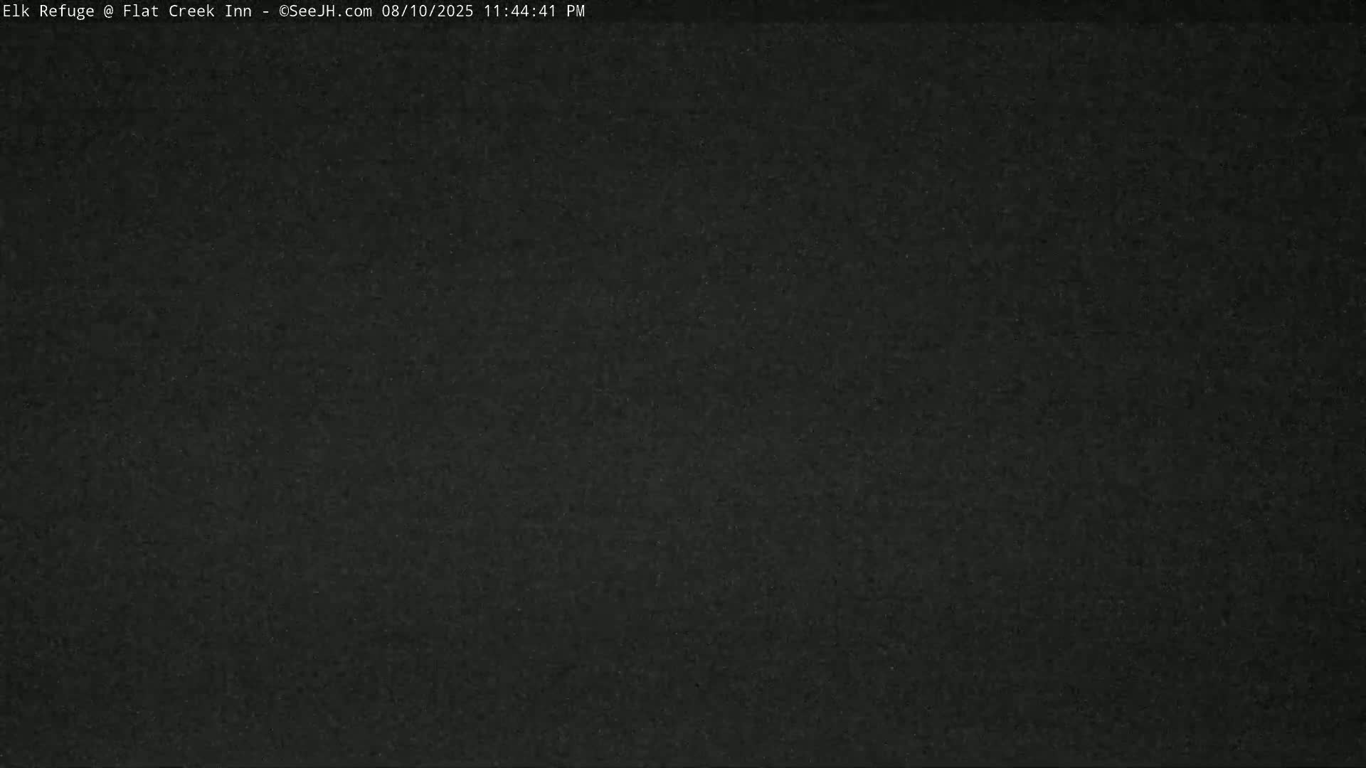 Jackson, Elk Refuge & Teton Mountains from Flat Creek Inn Live Cam - Jackson, Teton, Wyoming, USA