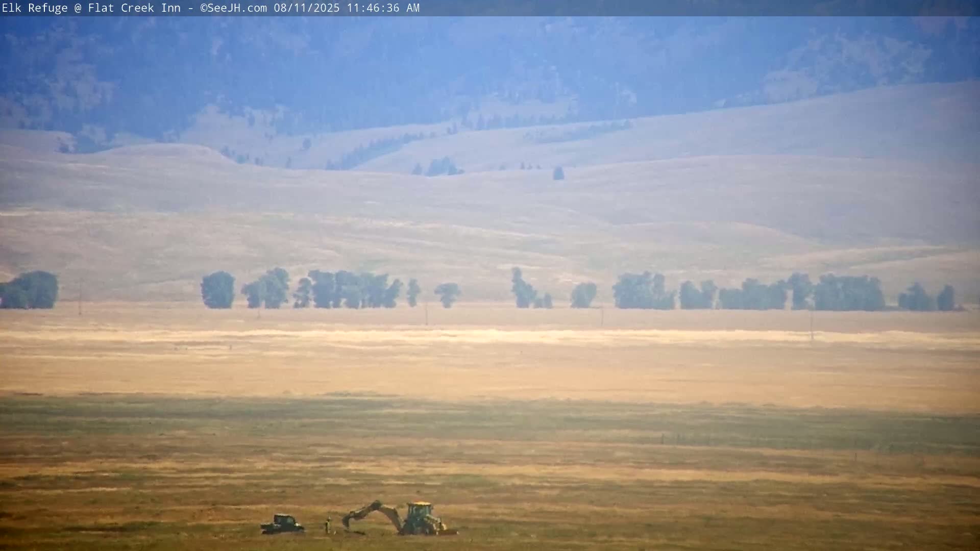 Jackson, Elk Refuge & Teton Mountains from Flat Creek Inn Live Cam - Jackson, Teton, Wyoming, USA