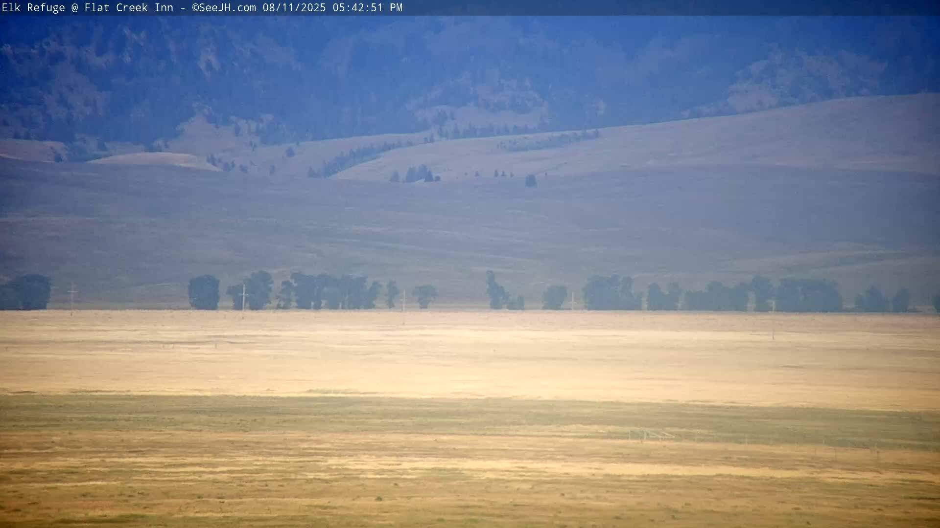 Jackson, Elk Refuge & Teton Mountains from Flat Creek Inn Live Cam - Jackson, Teton, Wyoming, USA