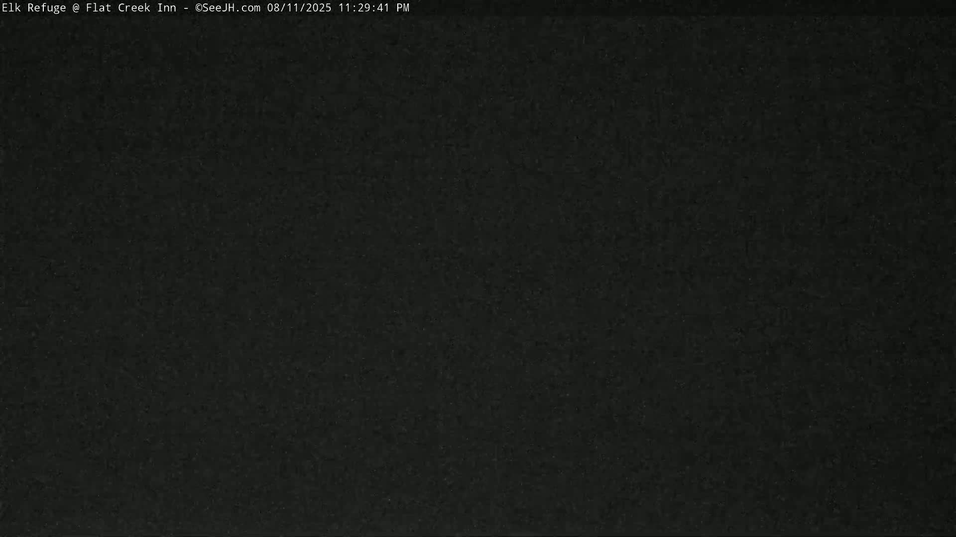 Jackson, Elk Refuge & Teton Mountains from Flat Creek Inn Live Cam - Jackson, Teton, Wyoming, USA
