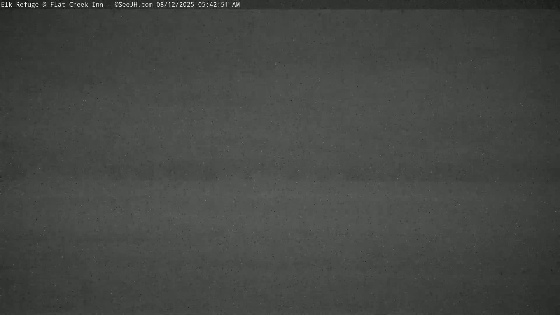 Jackson, Elk Refuge & Teton Mountains from Flat Creek Inn Live Cam - Jackson, Teton, Wyoming, USA
