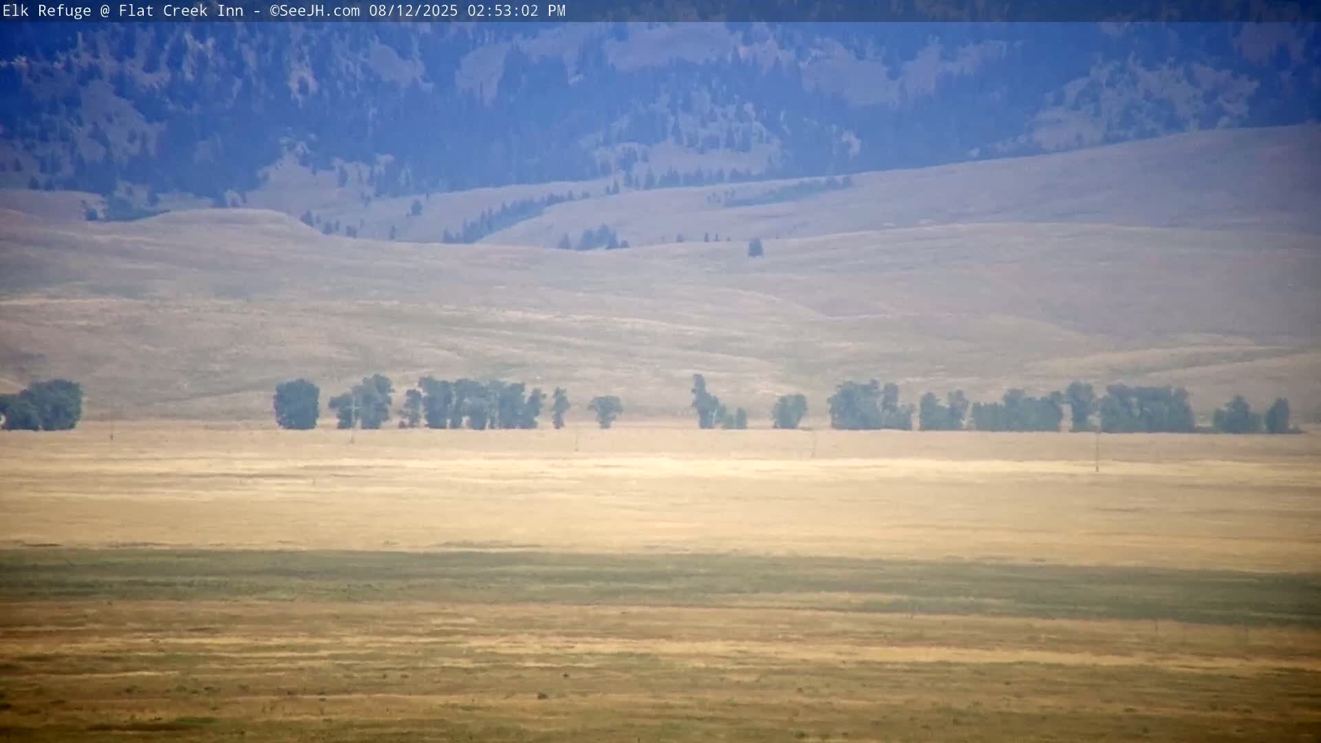 Jackson, Elk Refuge & Teton Mountains from Flat Creek Inn Live Cam - Jackson, Teton, Wyoming, USA