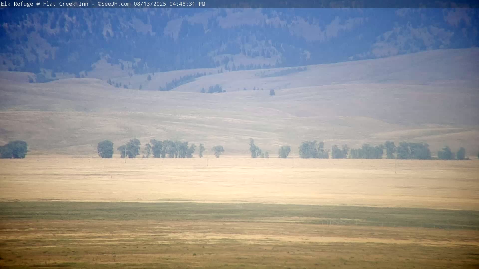 Jackson, Elk Refuge & Teton Mountains from Flat Creek Inn Live Cam - Jackson, Teton, Wyoming, USA
