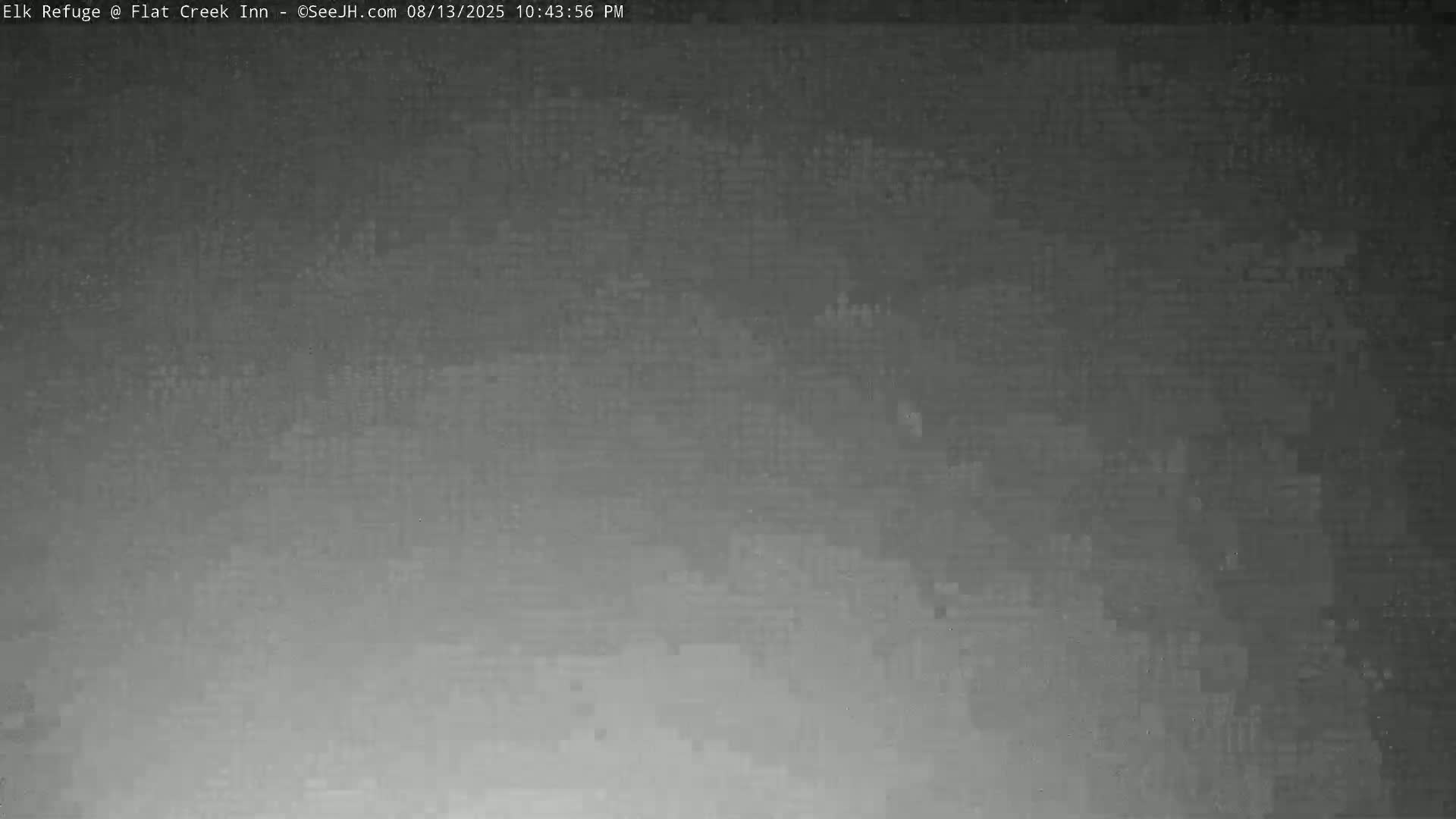 Jackson, Elk Refuge & Teton Mountains from Flat Creek Inn Live Cam - Jackson, Teton, Wyoming, USA
