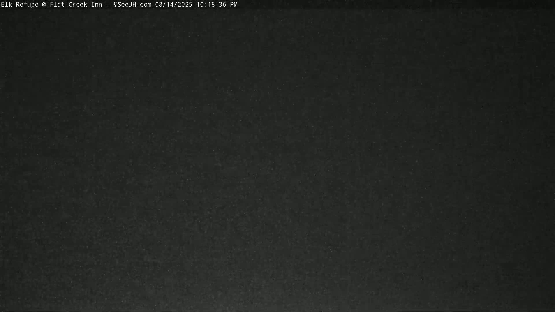 Jackson, Elk Refuge & Teton Mountains from Flat Creek Inn Live Cam - Jackson, Teton, Wyoming, USA