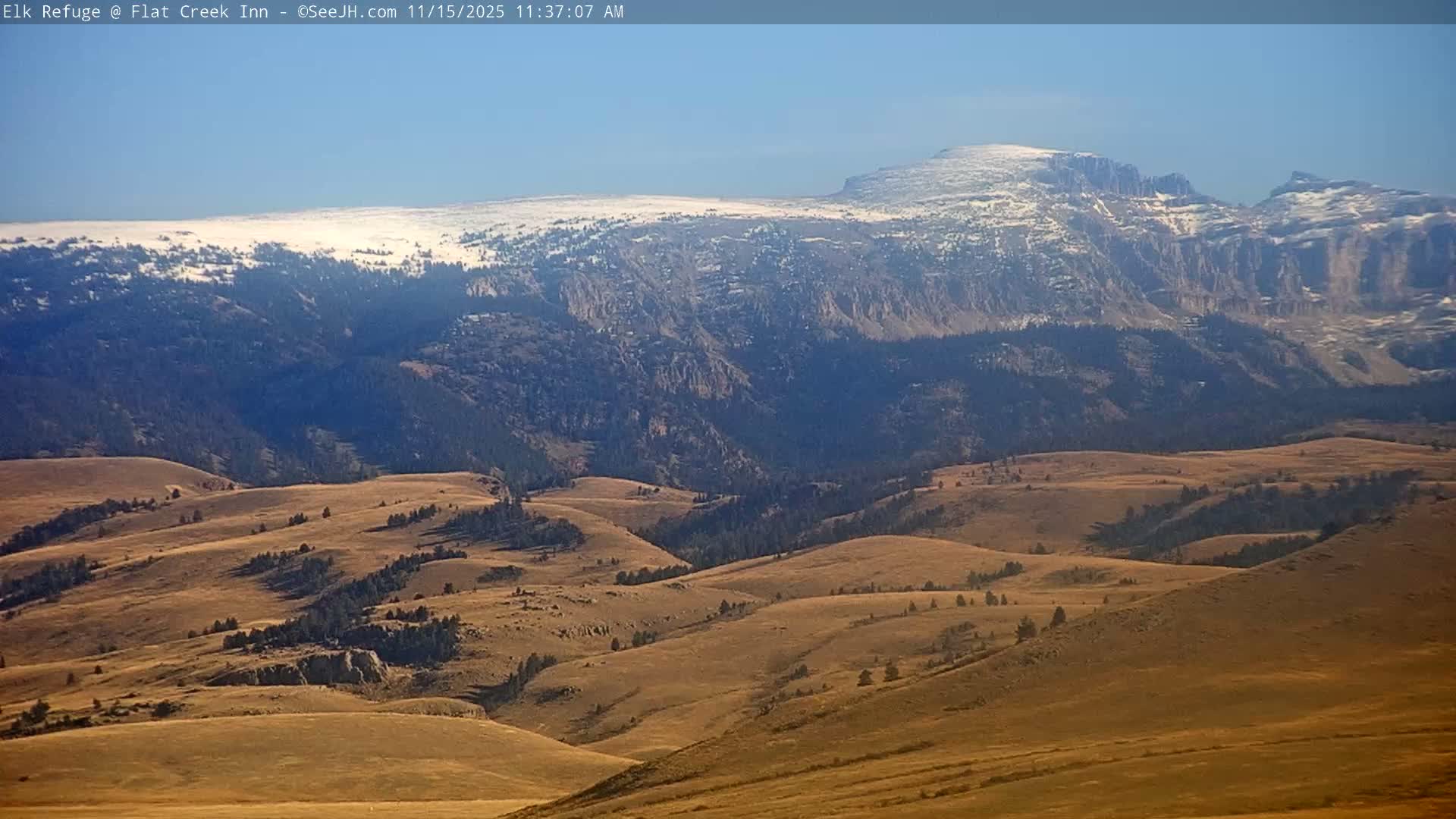 Jackson, Elk Refuge & Teton Mountains from Flat Creek Inn Live Cam - Jackson, Teton, Wyoming, USA