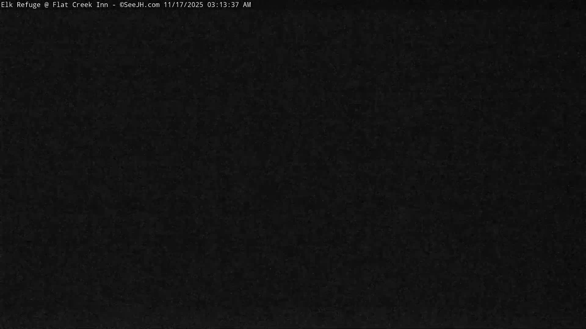 Jackson, Elk Refuge & Teton Mountains from Flat Creek Inn Live Cam - Jackson, Teton, Wyoming, USA