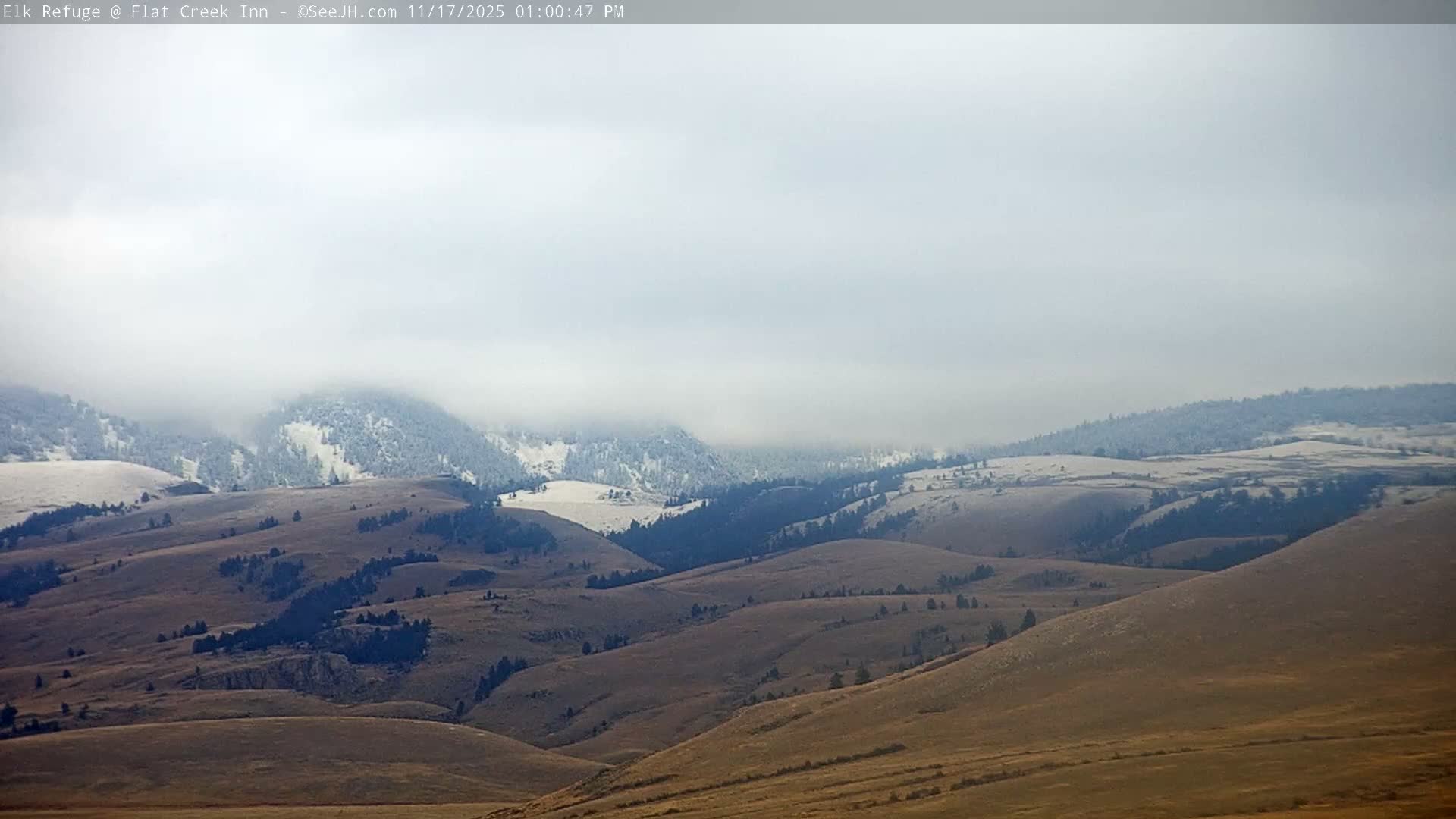 Jackson, Elk Refuge & Teton Mountains from Flat Creek Inn Live Cam - Jackson, Teton, Wyoming, USA