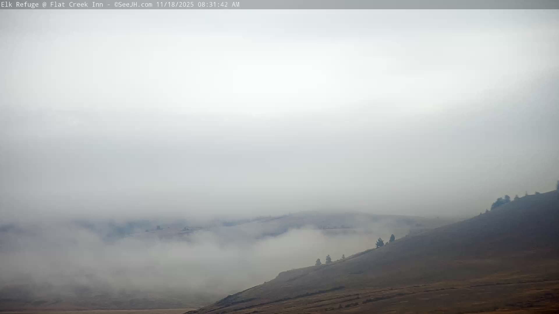 A hazy, flat landscape with a line of trees in the middle distance under a light, smoky sky.