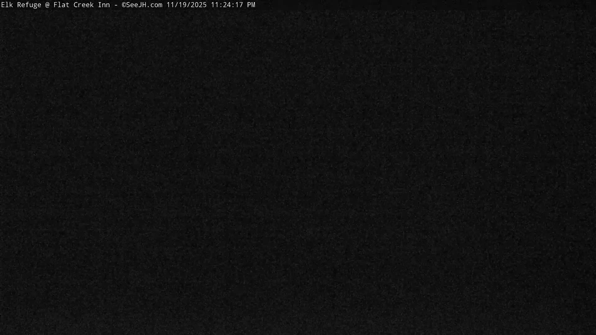 Jackson, Elk Refuge & Teton Mountains from Flat Creek Inn Live Cam - Jackson, Teton, Wyoming, USA