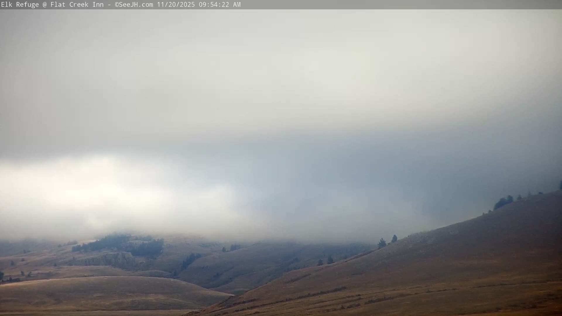 Jackson, Elk Refuge & Teton Mountains from Flat Creek Inn Live Cam - Jackson, Teton, Wyoming, USA