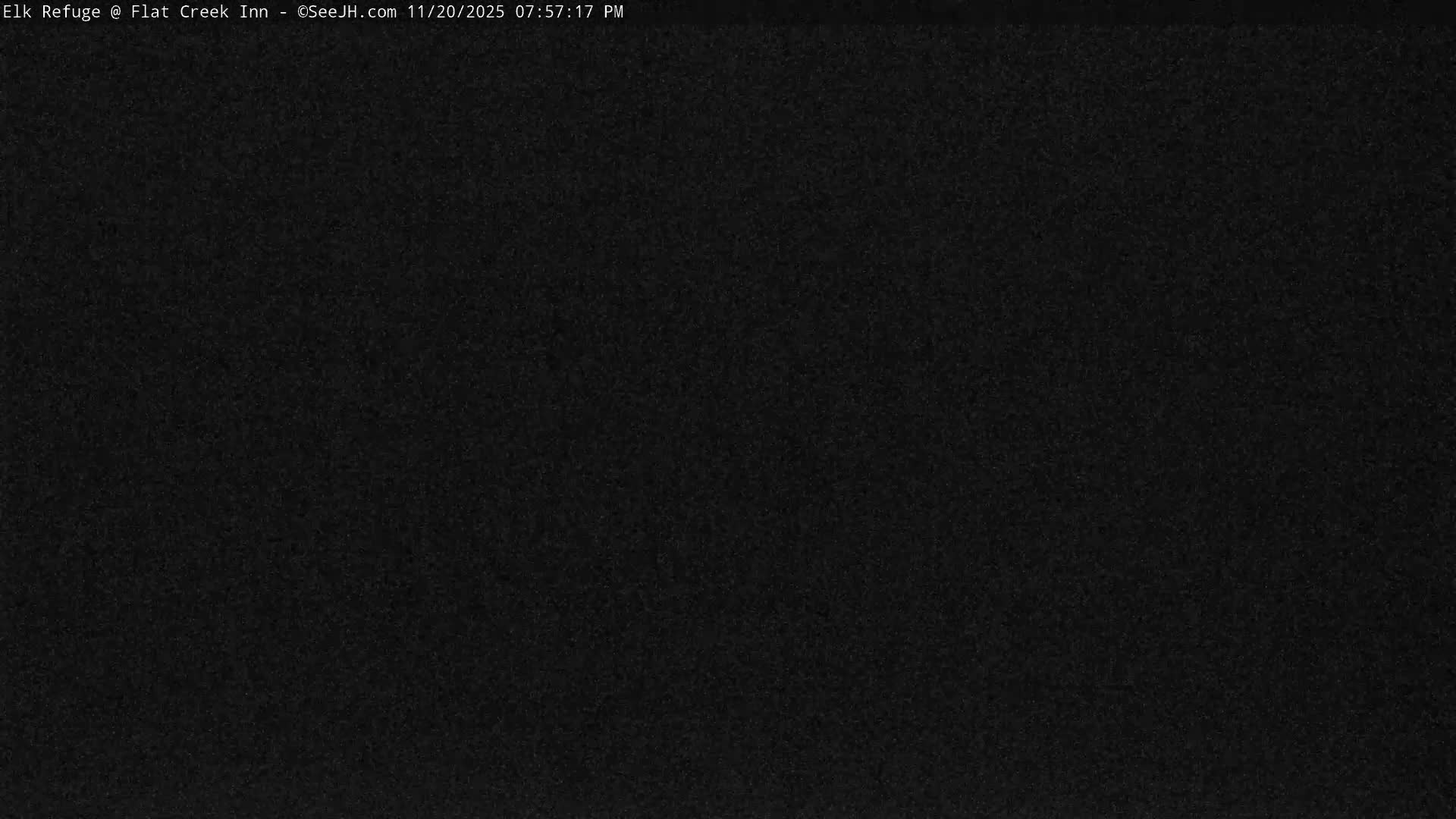Jackson, Elk Refuge & Teton Mountains from Flat Creek Inn Live Cam - Jackson, Teton, Wyoming, USA