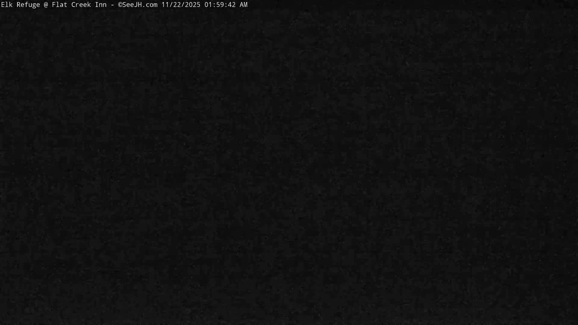 The image depicts an outdoor scene shrouded in complete darkness, offering no visible details or identifiable weather conditions.