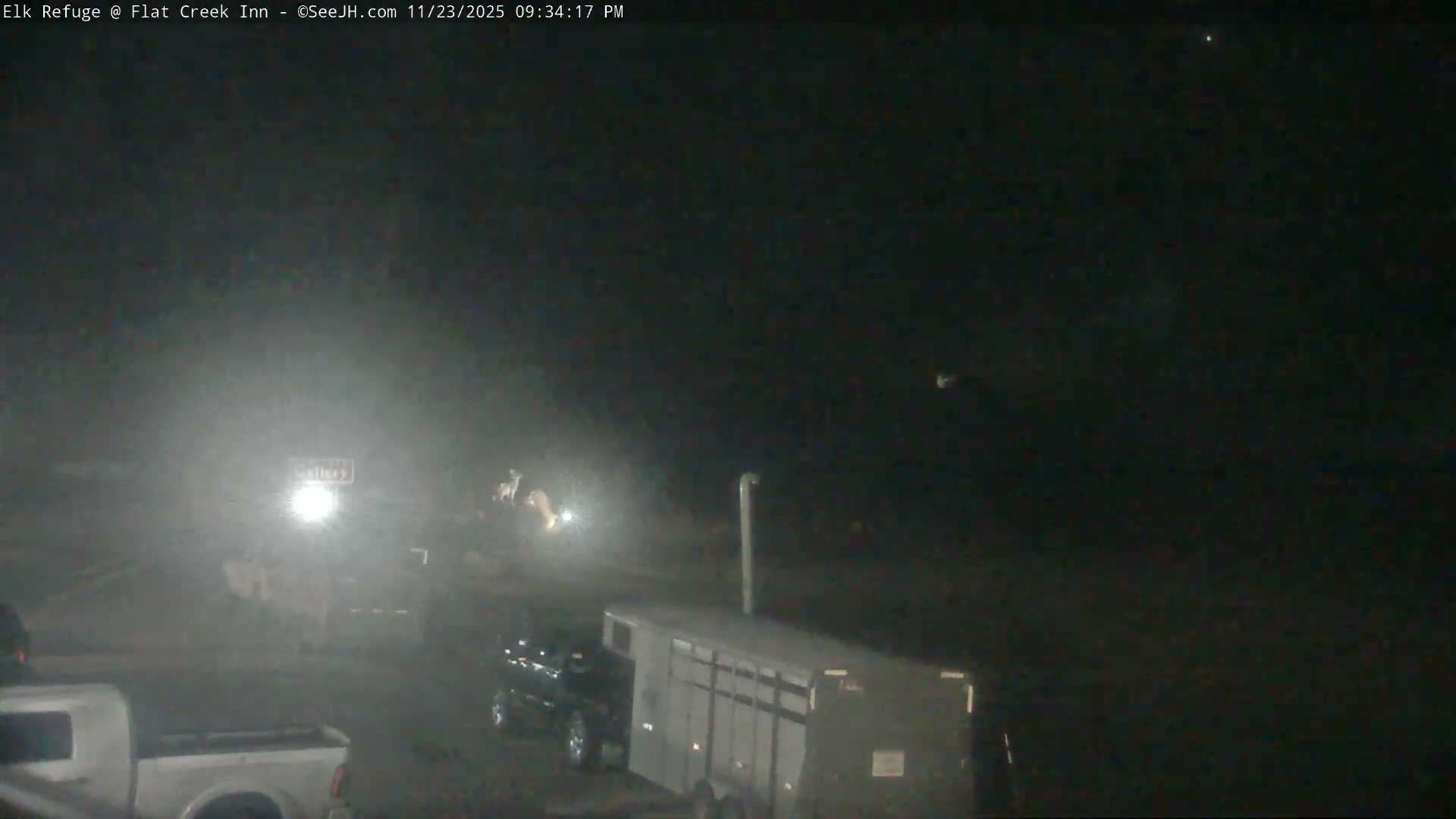 Jackson, Elk Refuge & Teton Mountains from Flat Creek Inn Live Cam - Jackson, Teton, Wyoming, USA