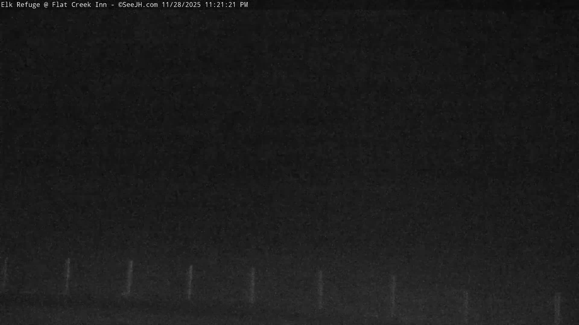 Jackson, Elk Refuge & Teton Mountains from Flat Creek Inn Live Cam - Jackson, Teton, Wyoming, USA