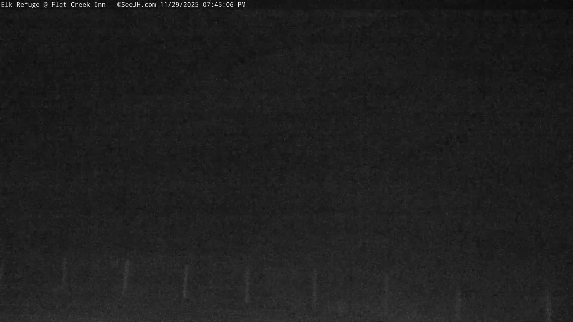 Jackson, Elk Refuge & Teton Mountains from Flat Creek Inn Live Cam - Jackson, Teton, Wyoming, USA