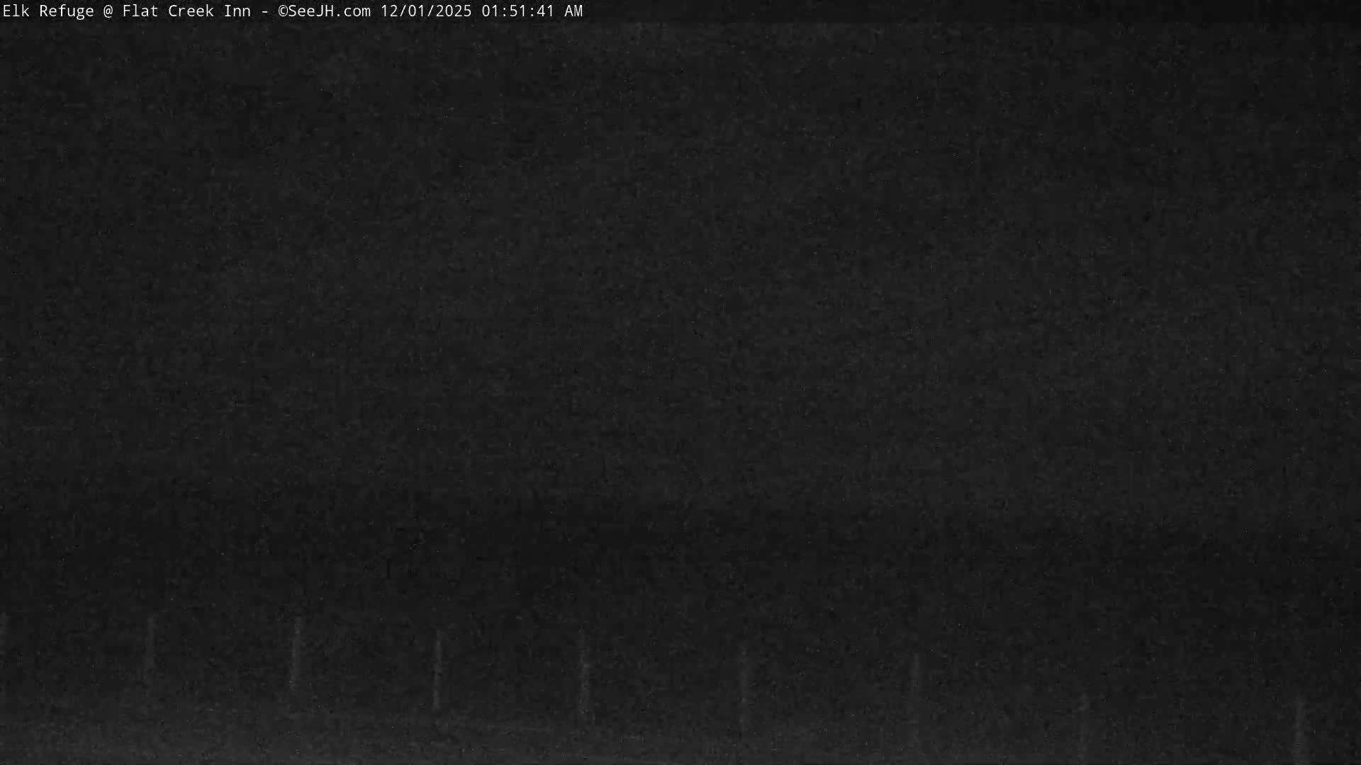 The image shows an extremely dark outdoor scene at night with very poor visibility, where only faint, grainy outlines of vertical structures, possibly fence posts, are barely discernible in the lower portion.