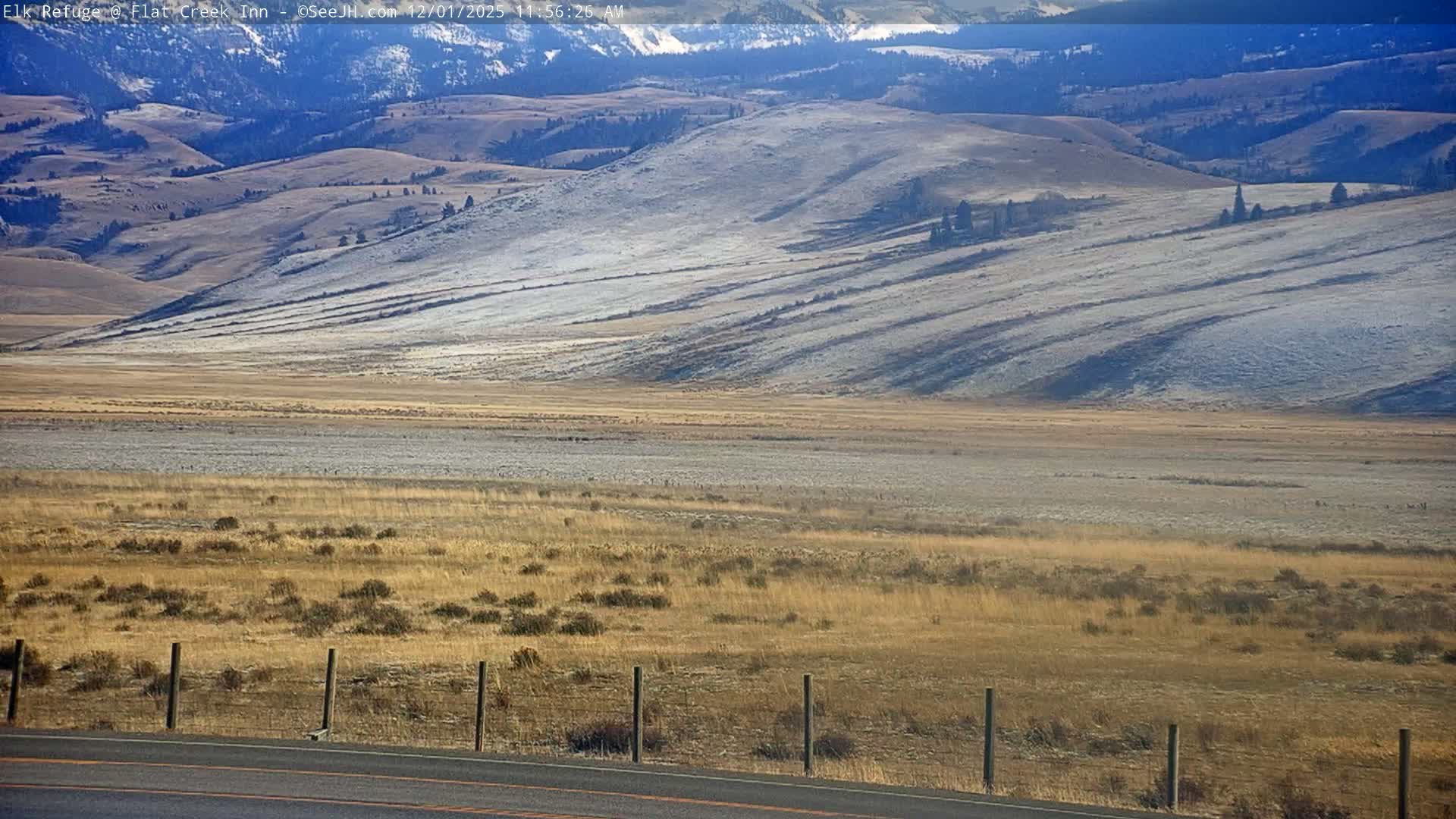 Jackson, Elk Refuge & Teton Mountains from Flat Creek Inn Live Cam - Jackson, Teton, Wyoming, USA