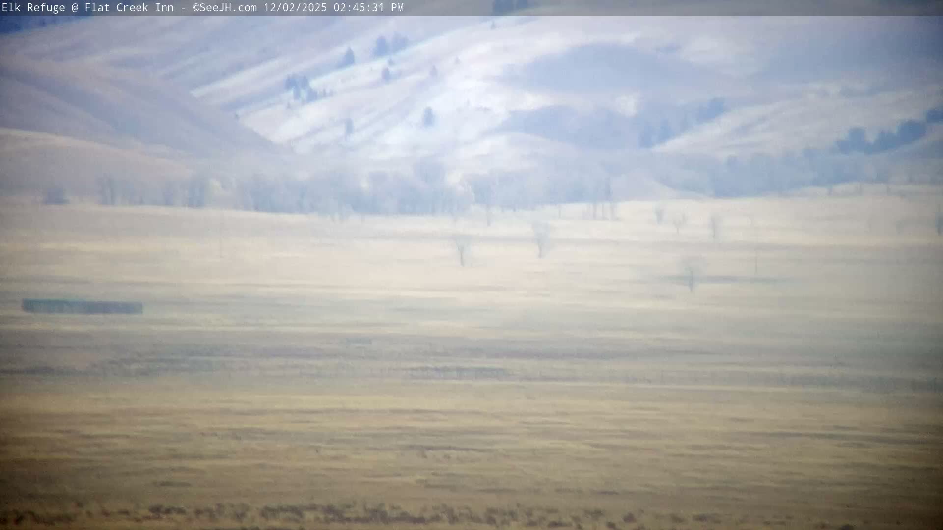 Jackson, Elk Refuge & Teton Mountains from Flat Creek Inn Live Cam - Jackson, Teton, Wyoming, USA