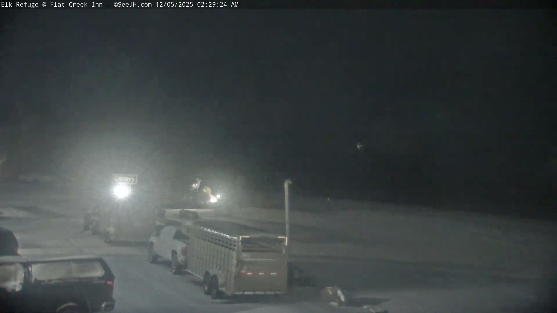 A dark winter night scene shows vehicles, including pickup trucks and a livestock trailer, on a snowy road with limited visibility due to falling snow, illuminated by bright headlights and a distant glowing sign.