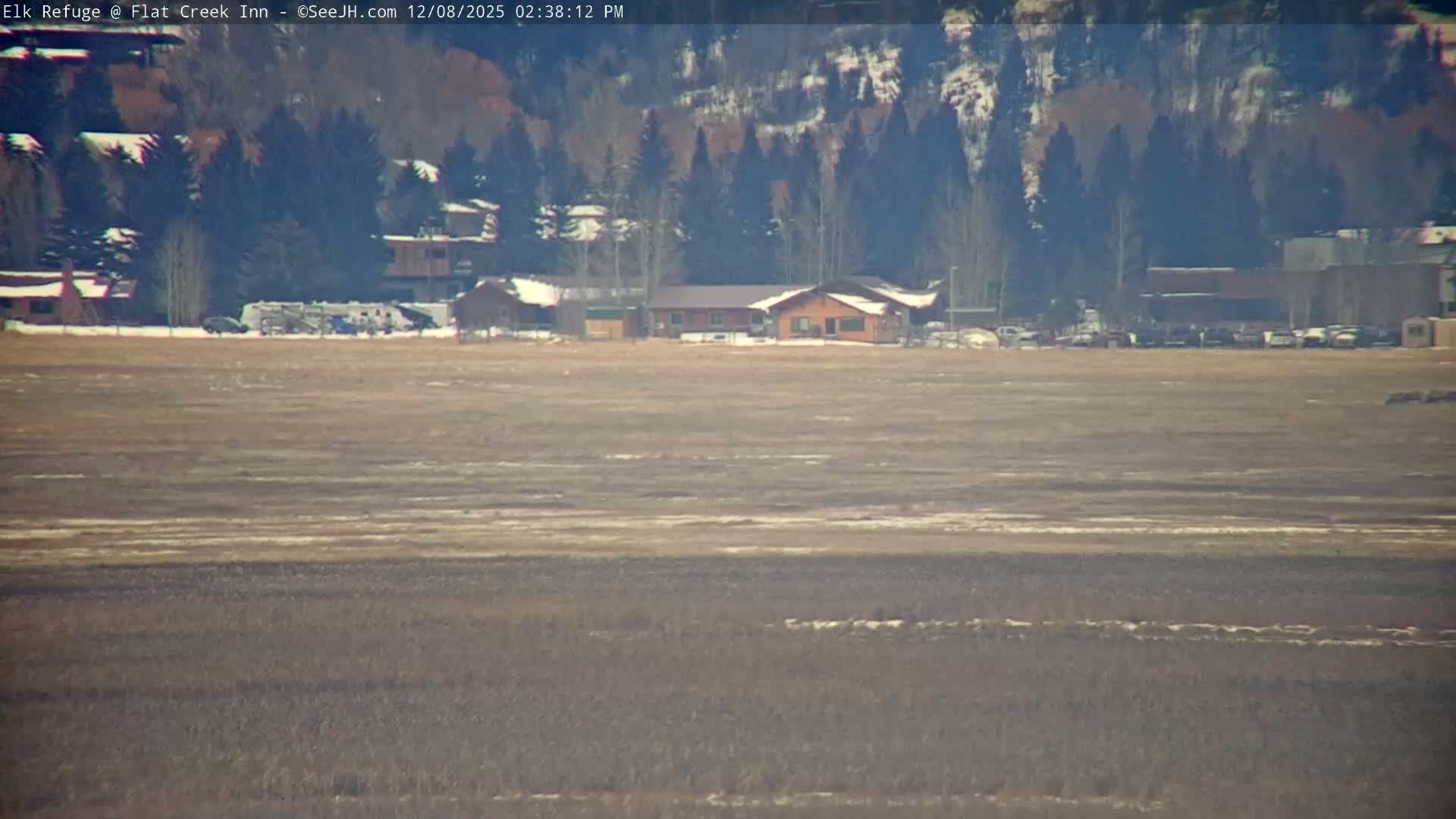 Jackson, Elk Refuge & Teton Mountains from Flat Creek Inn Live Cam - Jackson, Teton, Wyoming, USA