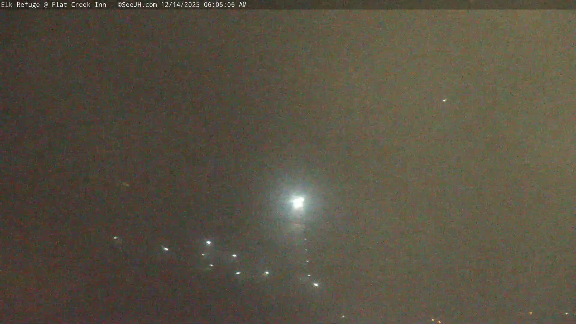 A dark winter night scene shows vehicles, including pickup trucks and a livestock trailer, on a snowy road with limited visibility due to falling snow, illuminated by bright headlights and a distant glowing sign.
