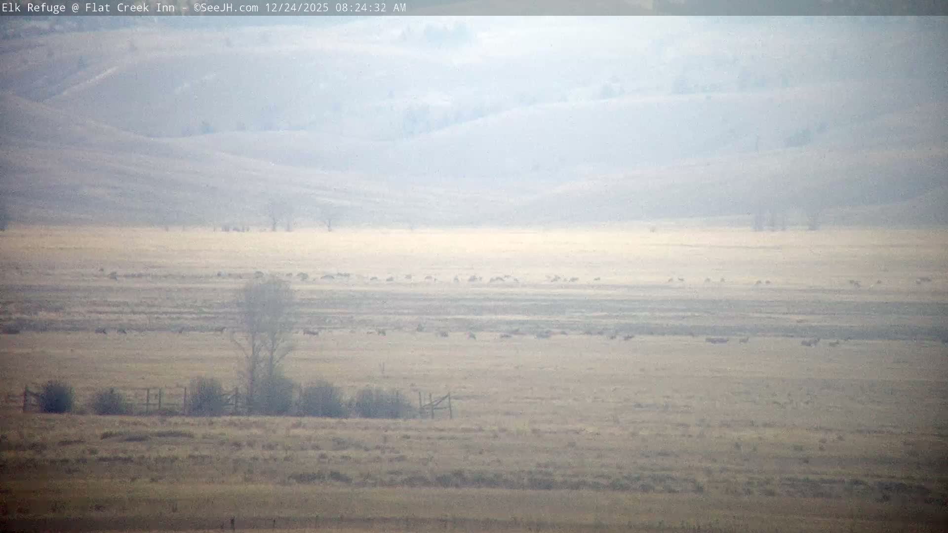 Jackson, Elk Refuge & Teton Mountains from Flat Creek Inn Live Cam - Jackson, Teton, Wyoming, USA