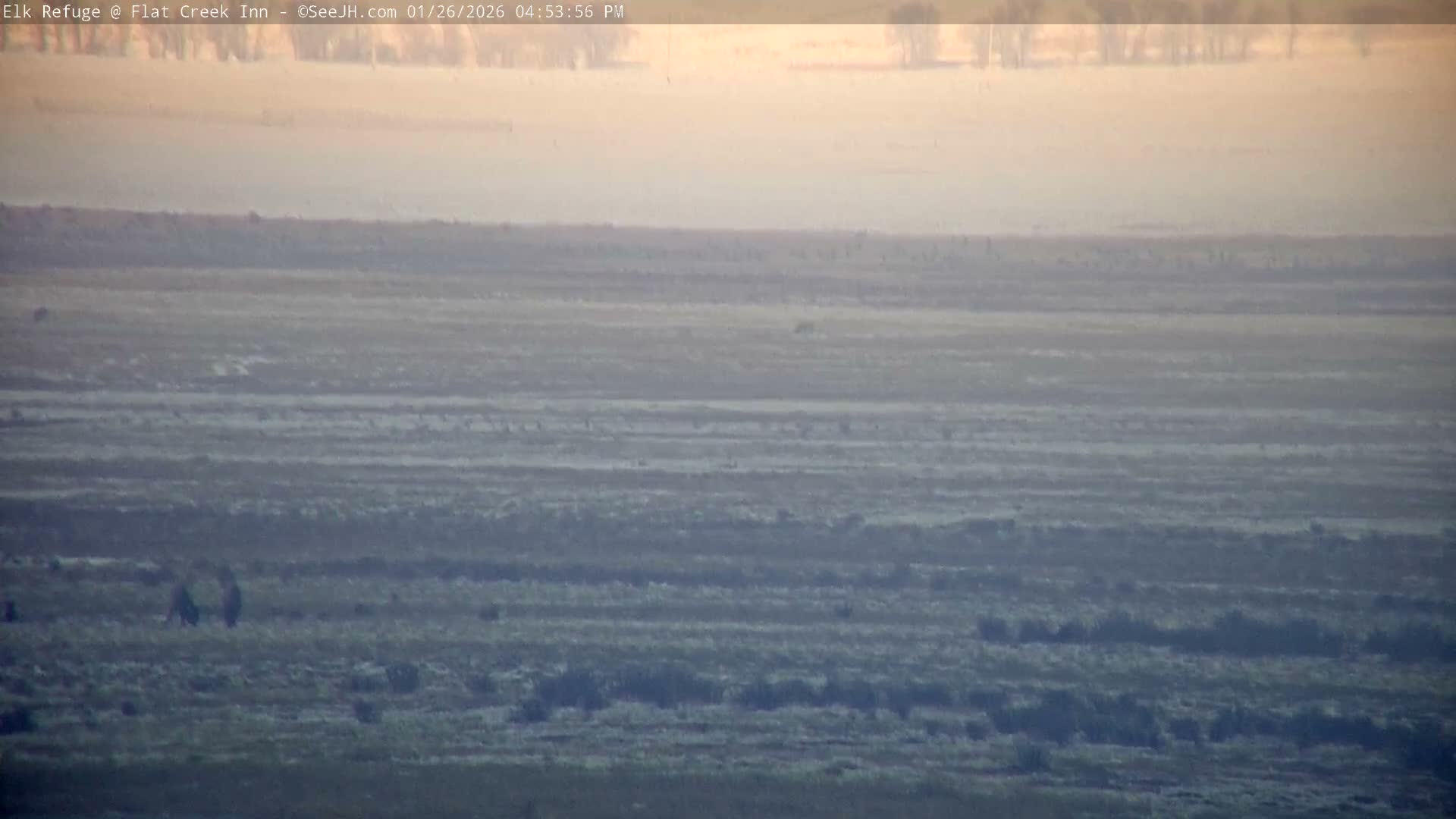 Jackson, Elk Refuge & Teton Mountains from Flat Creek Inn Live Cam - Jackson, Teton, Wyoming, USA