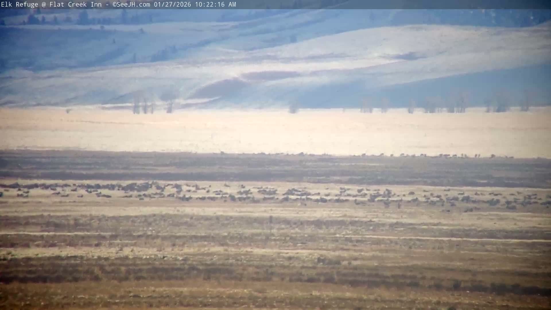 Jackson, Elk Refuge & Teton Mountains from Flat Creek Inn Live Cam - Jackson, Teton, Wyoming, USA