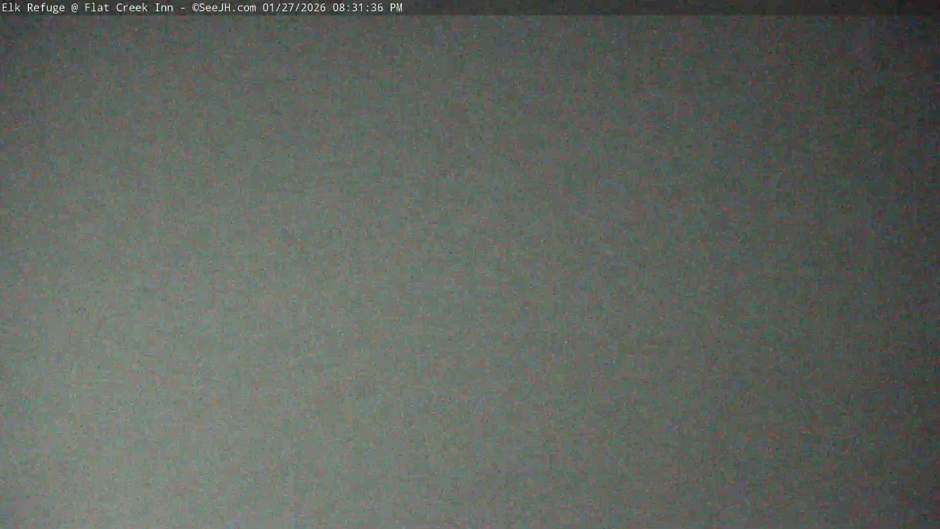 Jackson, Elk Refuge & Teton Mountains from Flat Creek Inn Live Cam - Jackson, Teton, Wyoming, USA