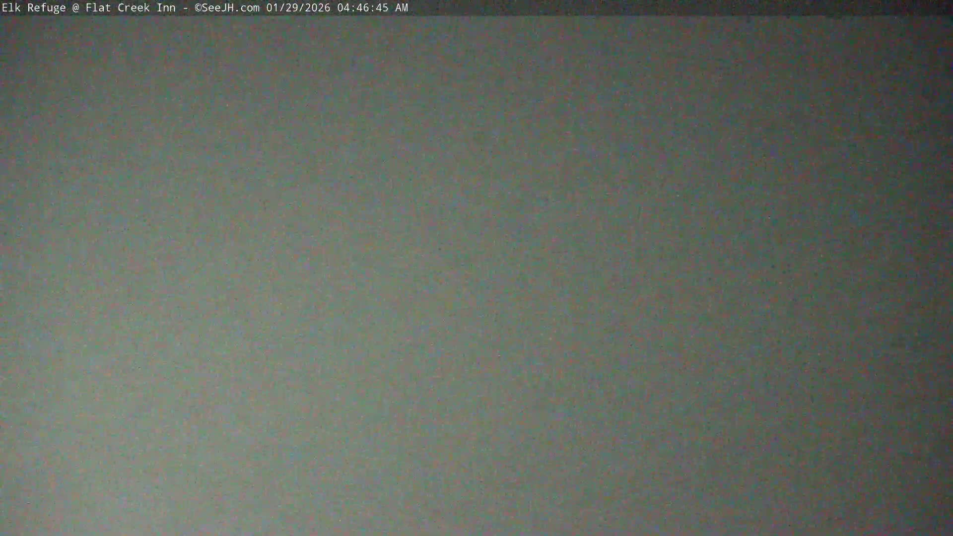 Jackson, Elk Refuge & Teton Mountains from Flat Creek Inn Live Cam - Jackson, Teton, Wyoming, USA