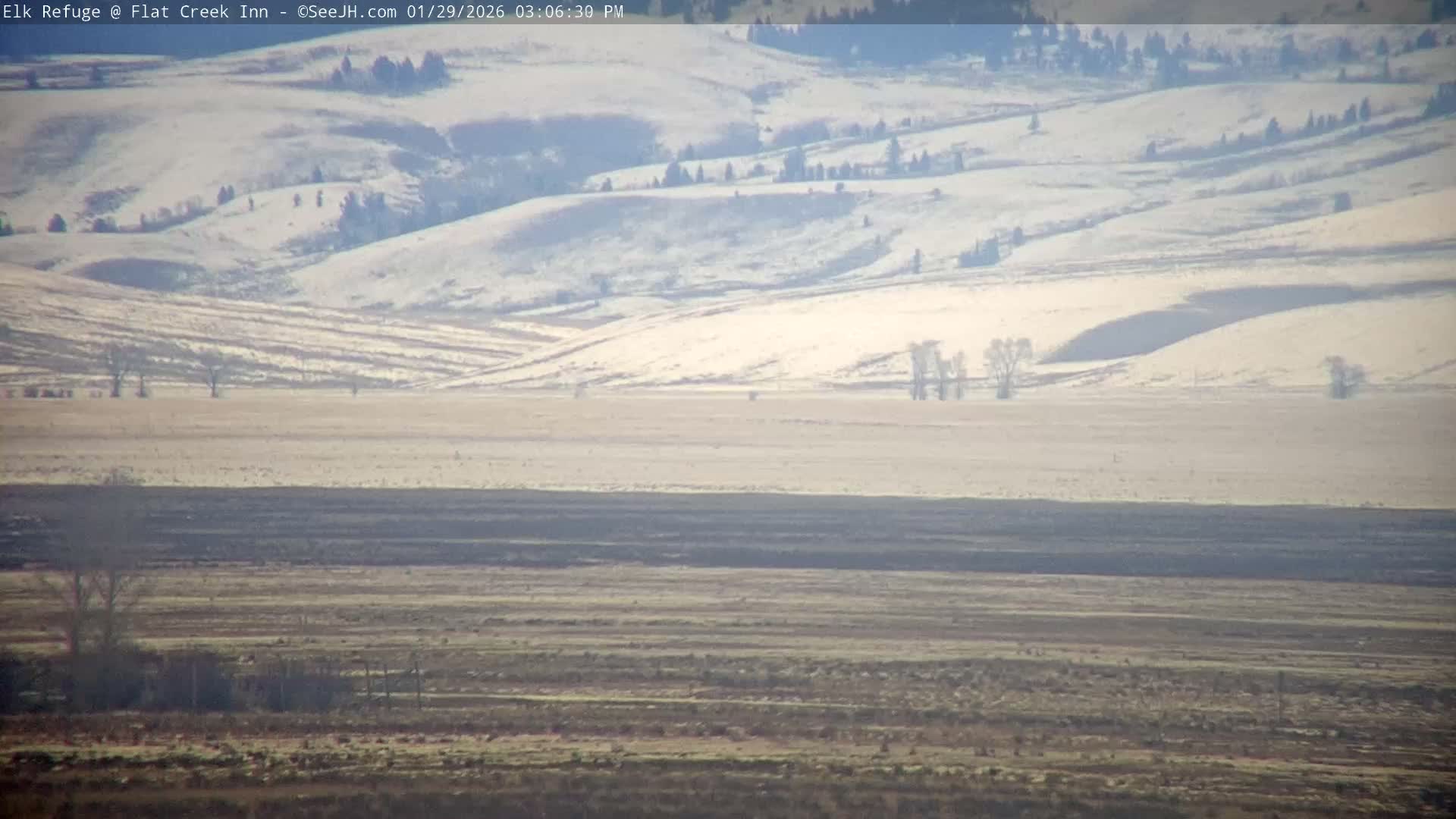 Jackson, Elk Refuge & Teton Mountains from Flat Creek Inn Live Cam - Jackson, Teton, Wyoming, USA