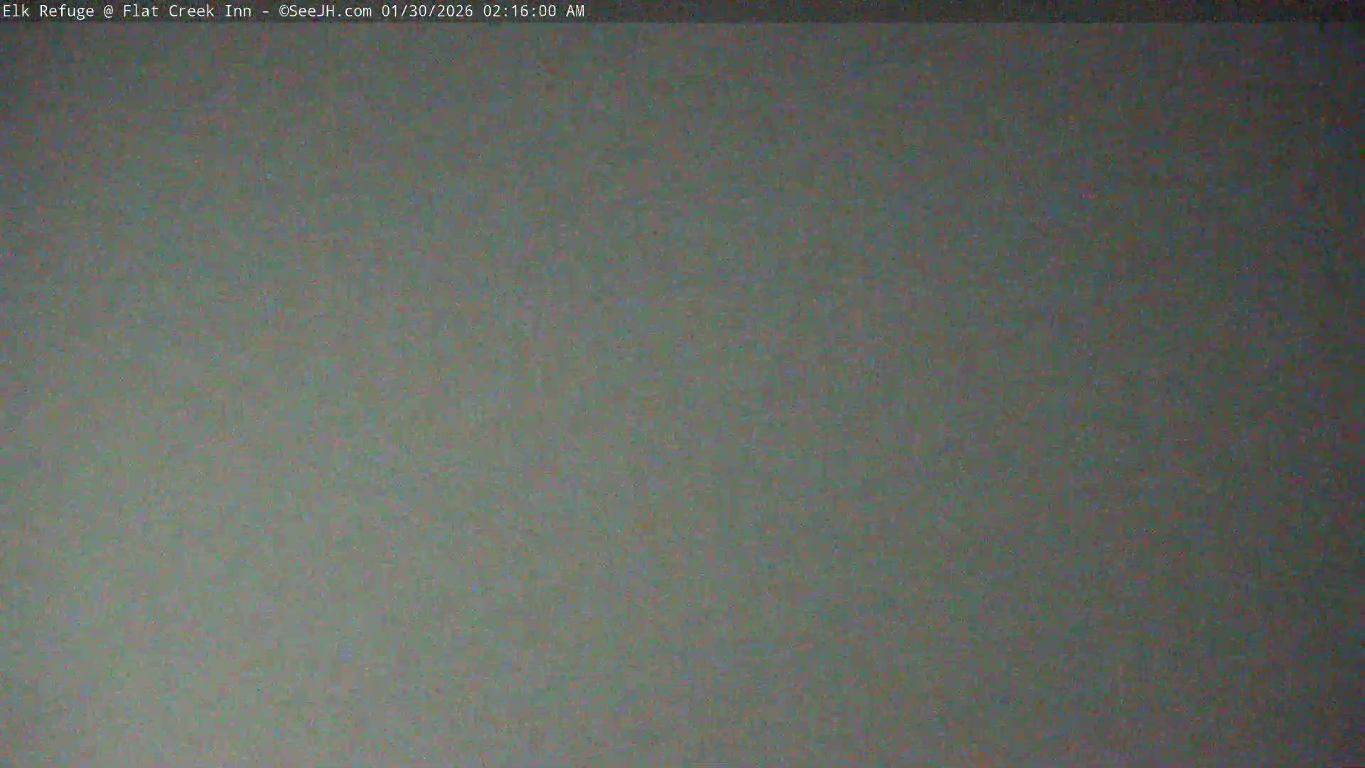 Jackson, Elk Refuge & Teton Mountains from Flat Creek Inn Live Cam - Jackson, Teton, Wyoming, USA