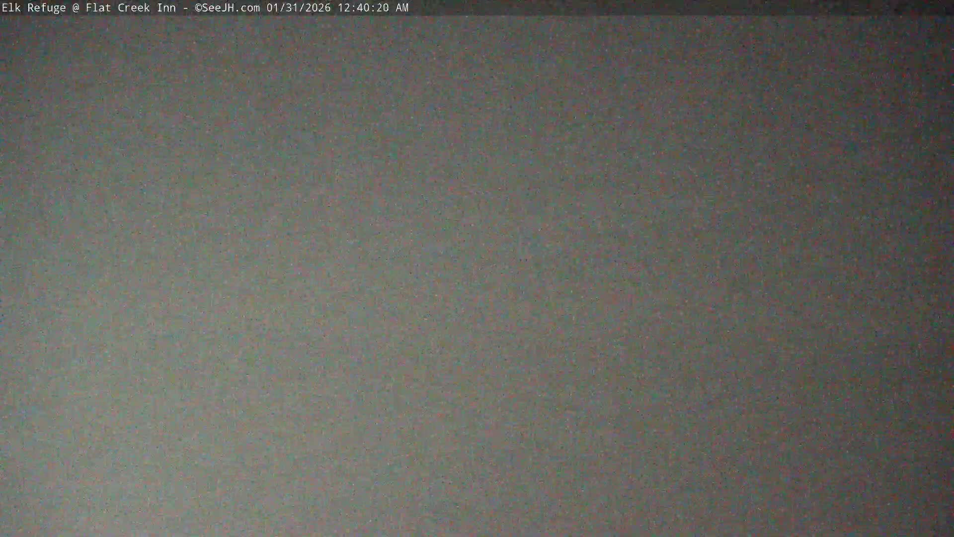 Jackson, Elk Refuge & Teton Mountains from Flat Creek Inn Live Cam - Jackson, Teton, Wyoming, USA