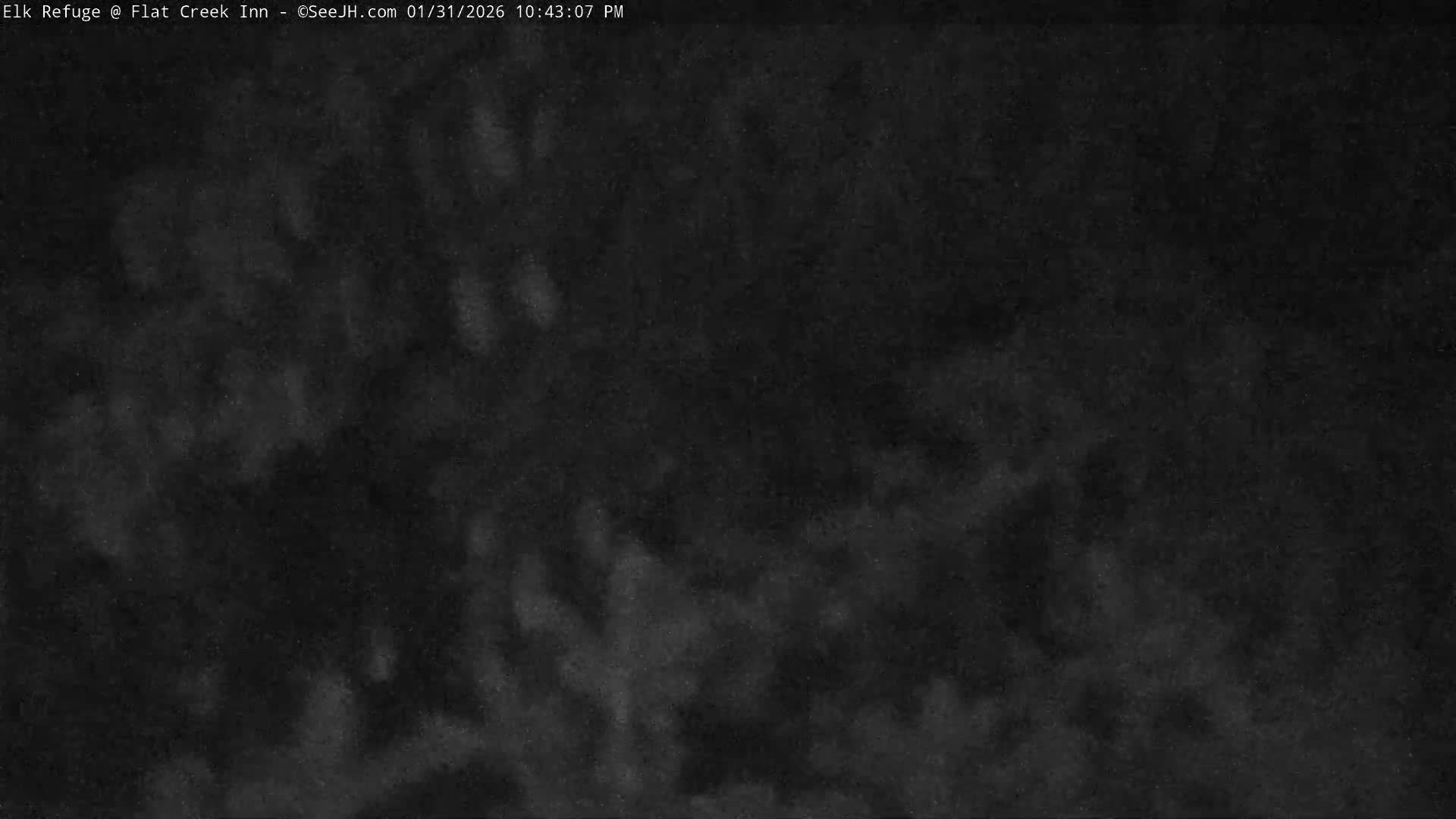 Jackson, Elk Refuge & Teton Mountains from Flat Creek Inn Live Cam - Jackson, Teton, Wyoming, USA