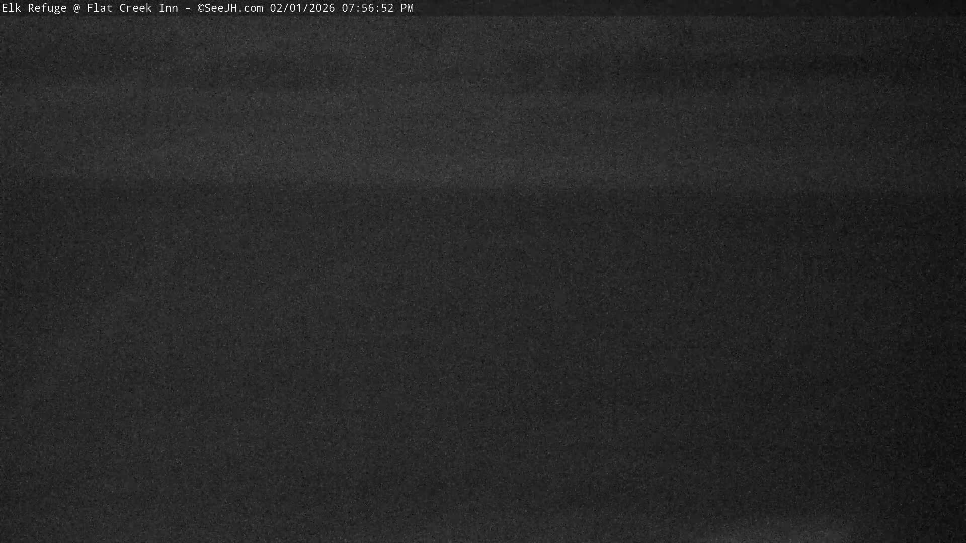 Jackson, Elk Refuge & Teton Mountains from Flat Creek Inn Live Cam - Jackson, Teton, Wyoming, USA