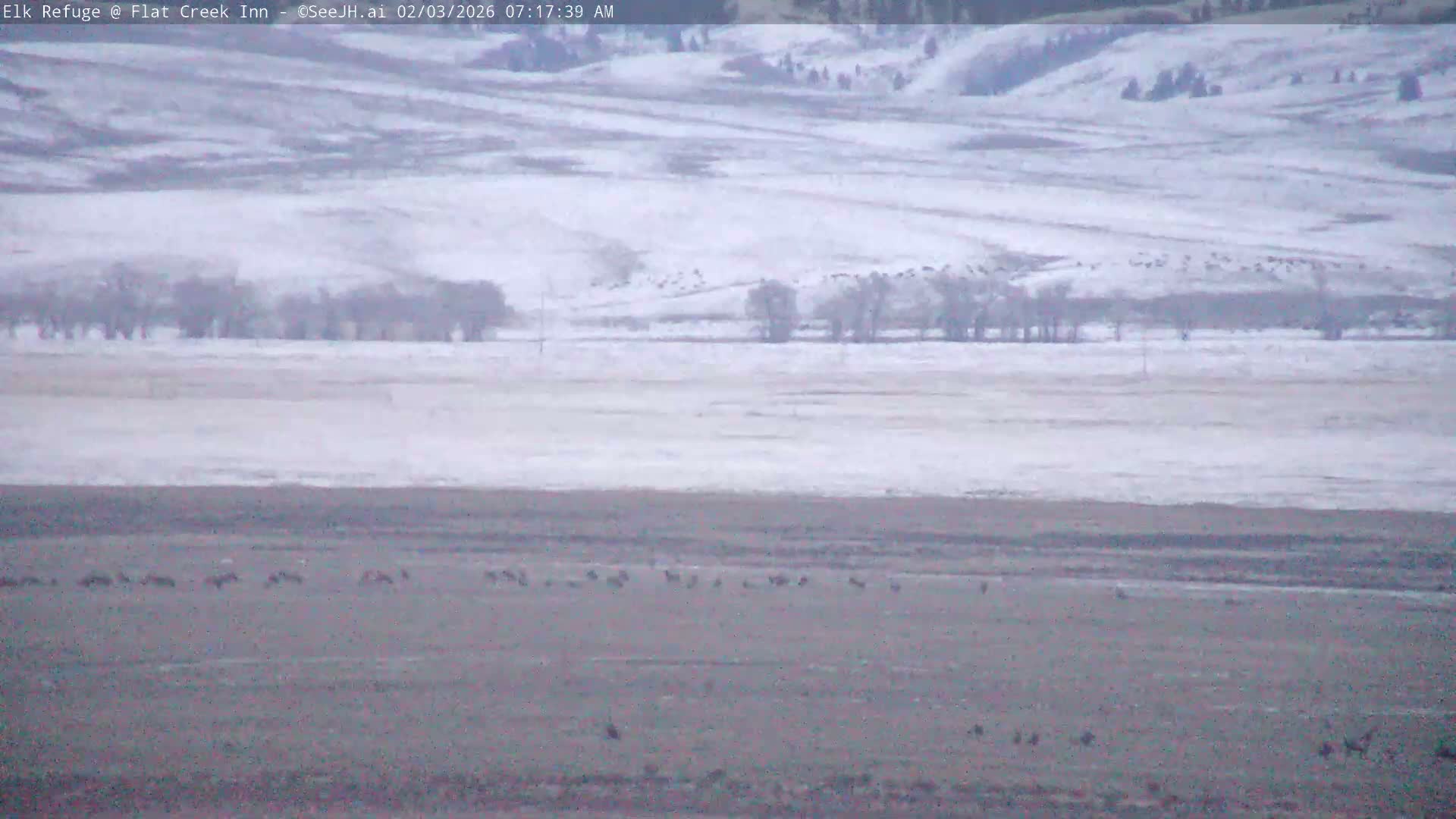 Jackson, Elk Refuge & Teton Mountains from Flat Creek Inn Live Cam - Jackson, Teton, Wyoming, USA