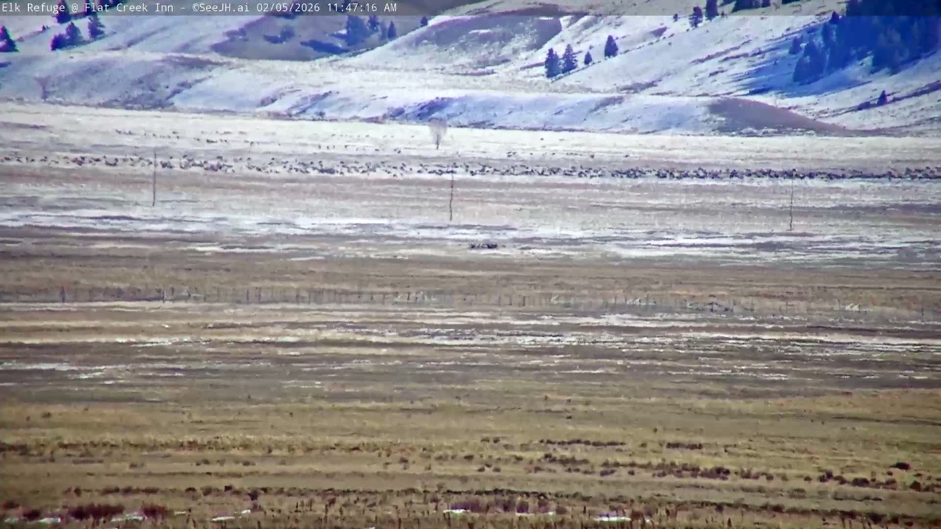 Jackson, Elk Refuge & Teton Mountains from Flat Creek Inn Live Cam - Jackson, Teton, Wyoming, USA