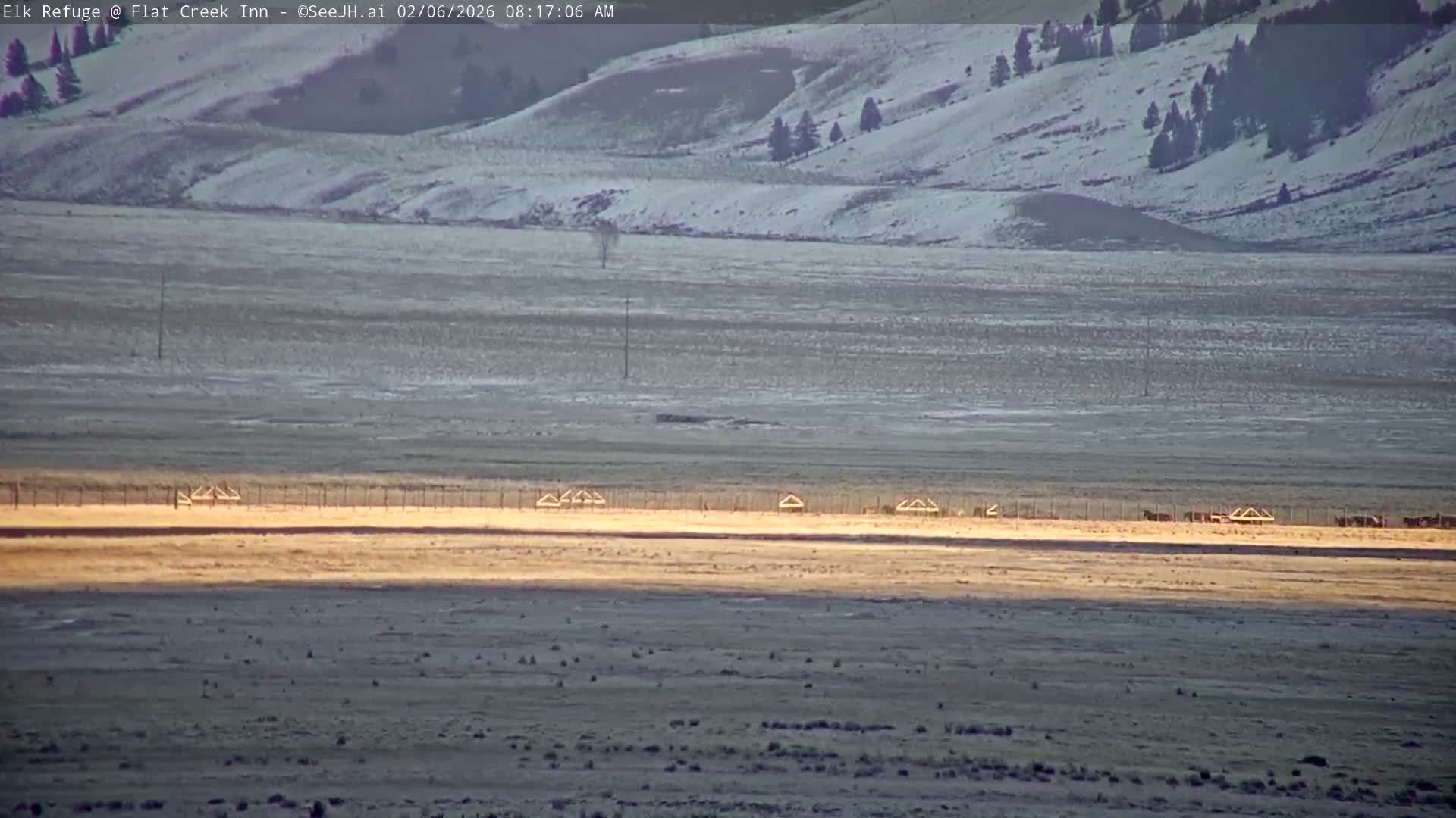 Jackson, Elk Refuge & Teton Mountains from Flat Creek Inn Live Cam - Jackson, Teton, Wyoming, USA