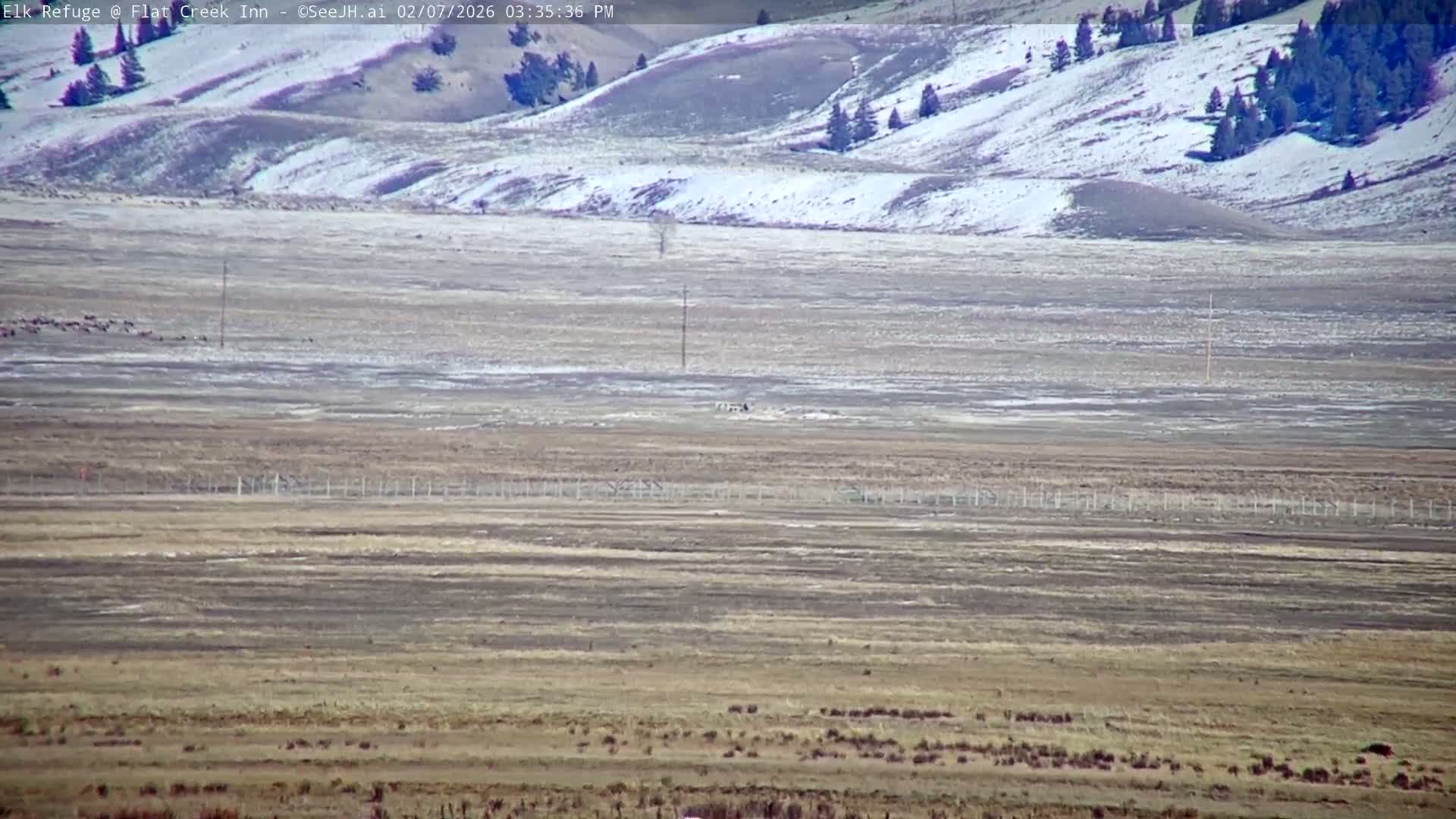 Jackson, Elk Refuge & Teton Mountains from Flat Creek Inn Live Cam - Jackson, Teton, Wyoming, USA