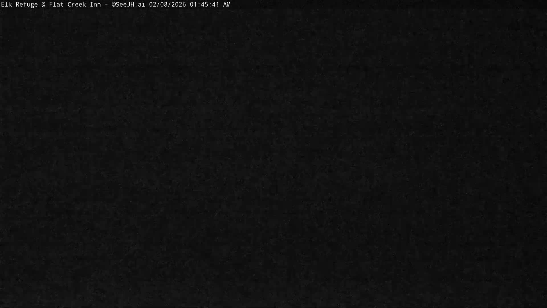 Jackson, Elk Refuge & Teton Mountains from Flat Creek Inn Live Cam - Jackson, Teton, Wyoming, USA