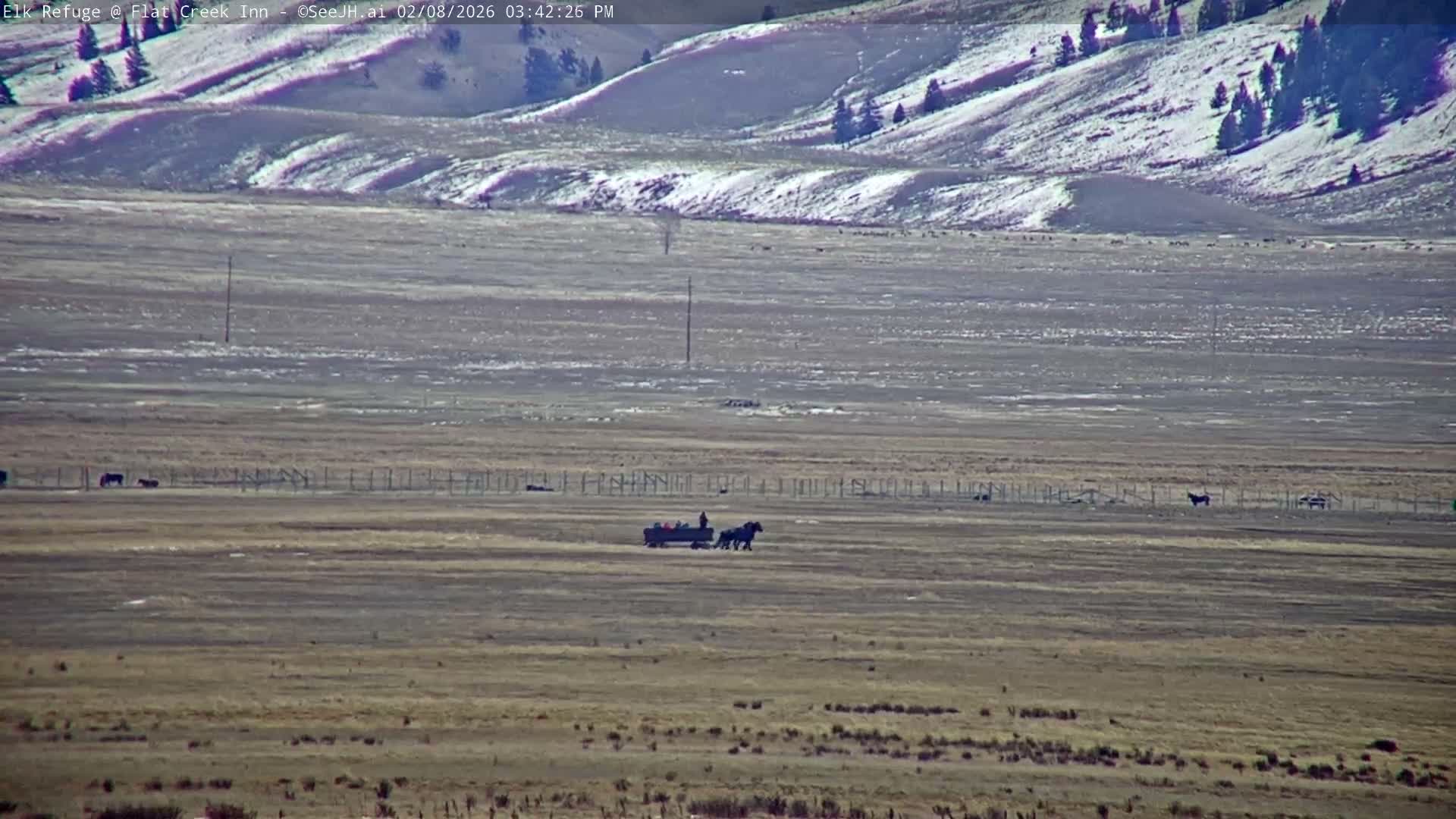 Jackson, Elk Refuge & Teton Mountains from Flat Creek Inn Live Cam - Jackson, Teton, Wyoming, USA