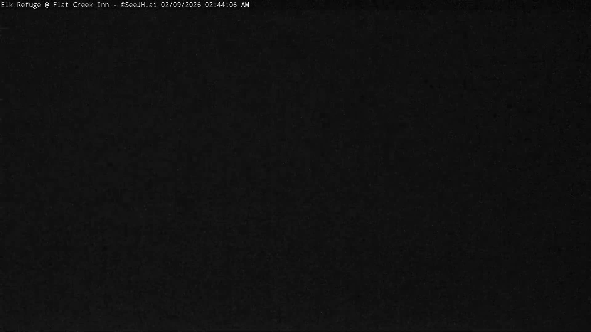 Jackson, Elk Refuge & Teton Mountains from Flat Creek Inn Live Cam - Jackson, Teton, Wyoming, USA