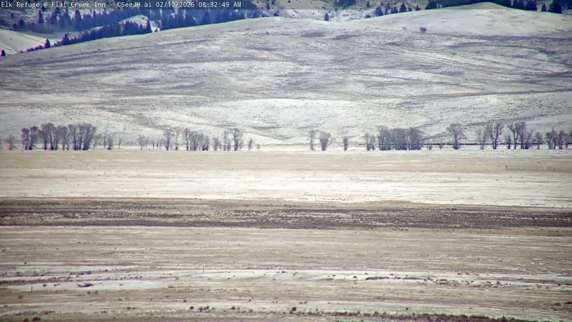 Jackson, Elk Refuge & Teton Mountains from Flat Creek Inn Live Cam - Jackson, Teton, Wyoming, USA