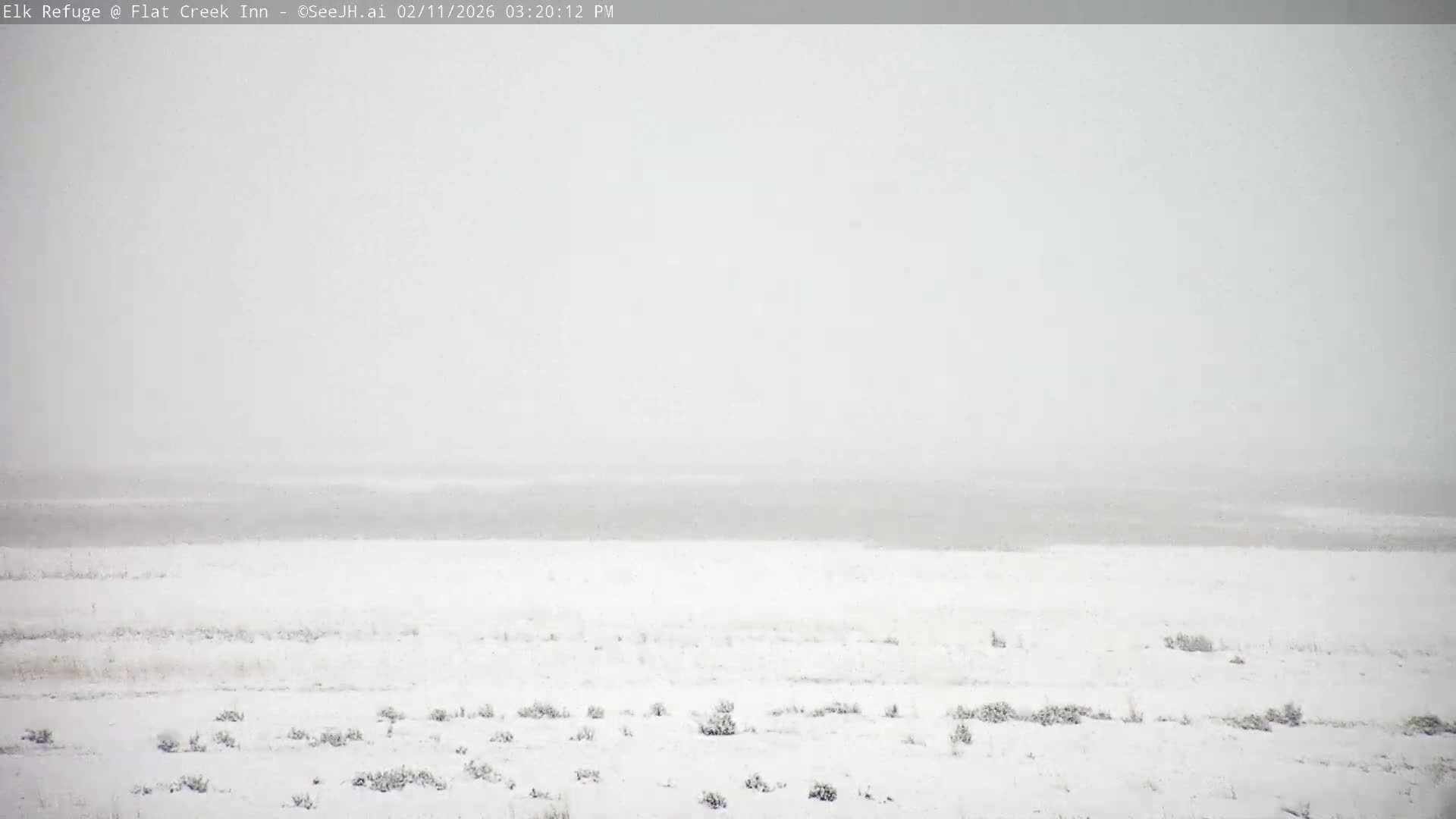Jackson, Elk Refuge & Teton Mountains from Flat Creek Inn Live Cam - Jackson, Teton, Wyoming, USA