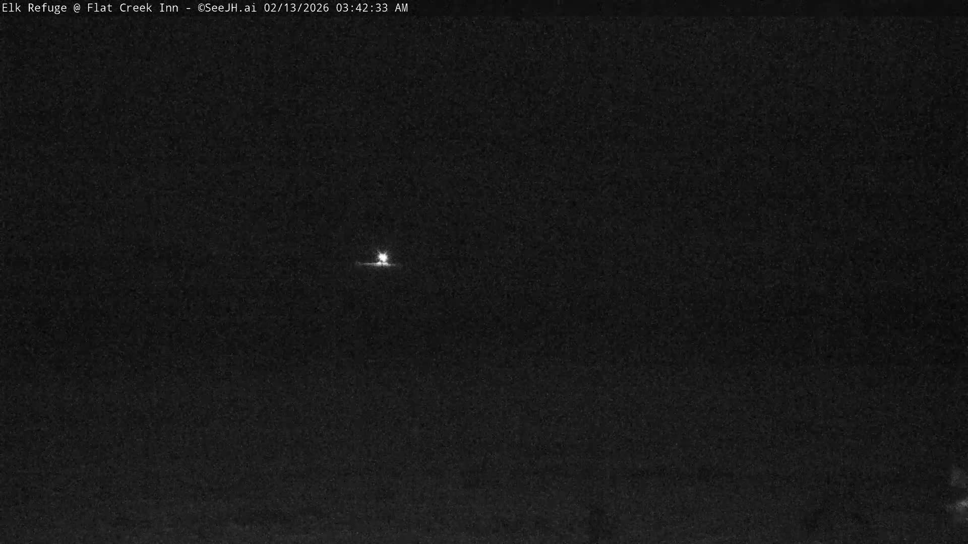 Jackson, Elk Refuge & Teton Mountains from Flat Creek Inn Live Cam - Jackson, Teton, Wyoming, USA
