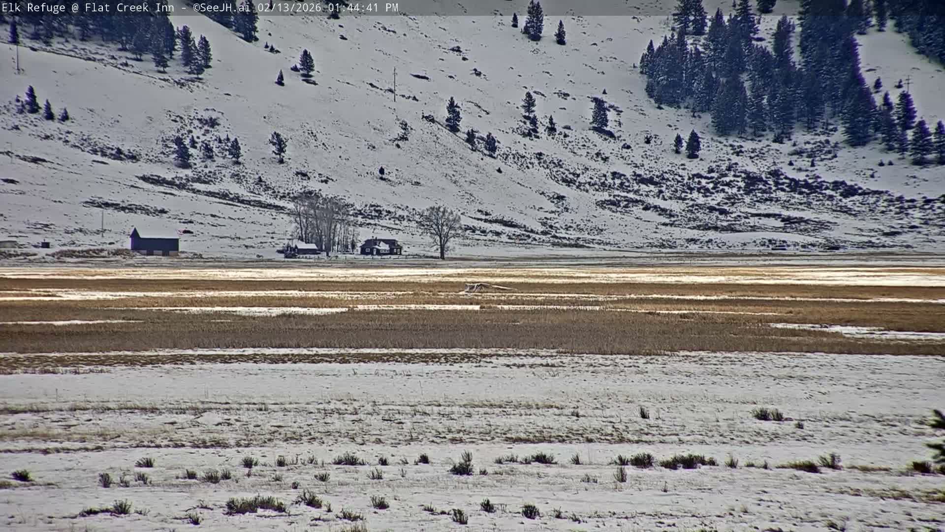 Jackson, Elk Refuge & Teton Mountains from Flat Creek Inn Live Cam - Jackson, Teton, Wyoming, USA