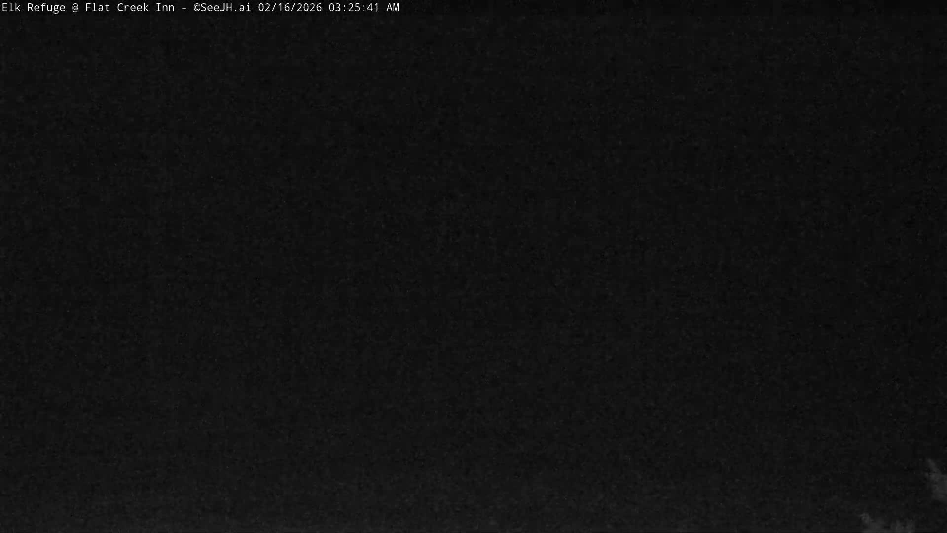 Jackson, Elk Refuge & Teton Mountains from Flat Creek Inn Live Cam - Jackson, Teton, Wyoming, USA