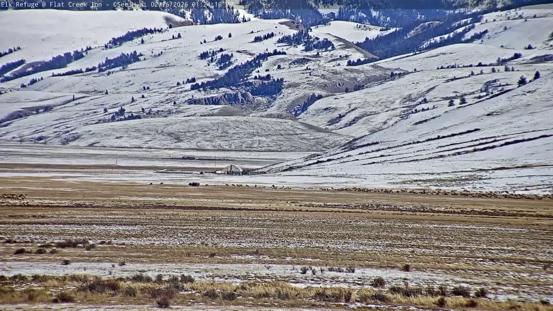 Jackson, Elk Refuge & Teton Mountains from Flat Creek Inn Live Cam - Jackson, Teton, Wyoming, USA
